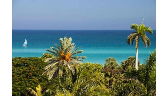 Hotel .occidental Arenas Blancas poza 9